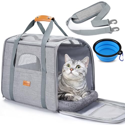 Avis Morpilot Cat Carrier: Confort et Sécurité pour Voyager