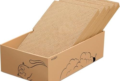 Avis Ycozy Griffoir pour Chat 5 en 1 : Notre Test Complet