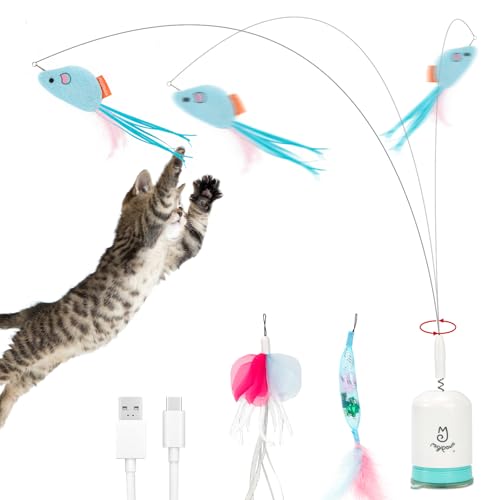 Avis Jouet Interactif Migipaws pour Chat : Test Complet
