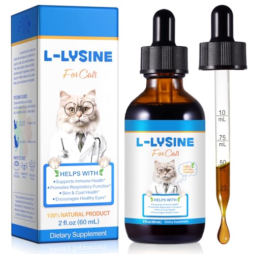 Avis L-Lysine pour Chats : Complément Incontournable