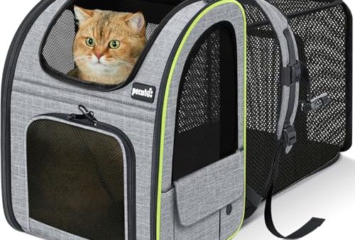 Avis Pecute Sac Transport Chat Petit: Confort et Praticité