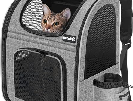 Avis Pecute Sac à Dos Chat : Confort et Sécurité Assurés