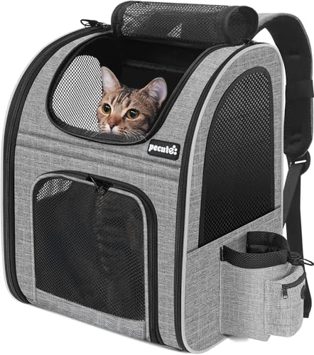 Avis Pecute Sac à Dos Chat : Confort et Sécurité Assurés