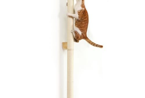 Avis FUKUMARU Griffoir pour Chat, 152 cm : Test Complet