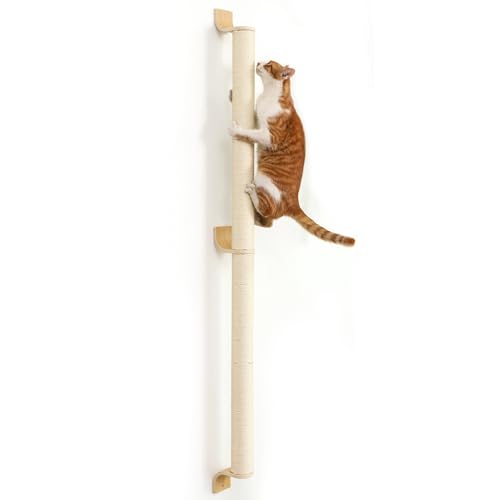 Avis FUKUMARU Griffoir pour Chat, 152 cm : Test Complet