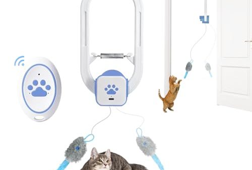 Avis Jouet pour Chat Interactif Automatique : Test Complet