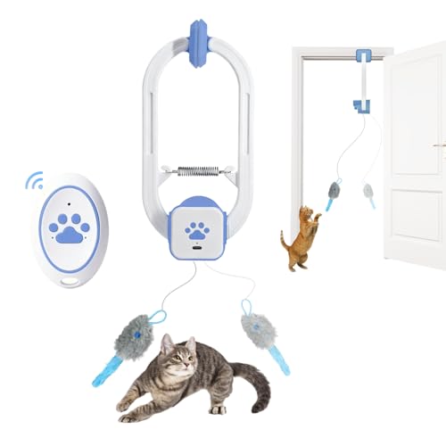 Avis Jouet pour Chat Interactif Automatique : Test Complet
