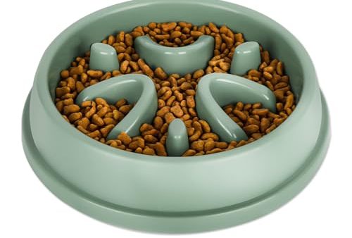 Avis Gamelle Anti Glouton : Solution pour Chats Gourmands