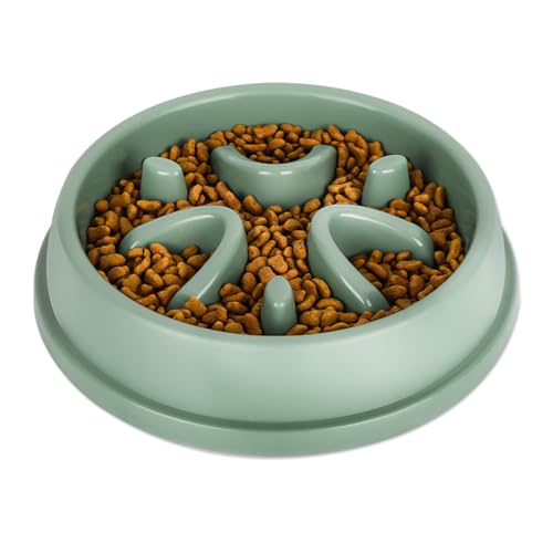 Avis Gamelle Anti Glouton : Solution pour Chats Gourmands
