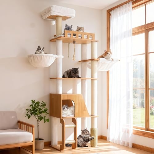 Avis Hey-brother Arbre à Chat Moderne : Design et Confort
