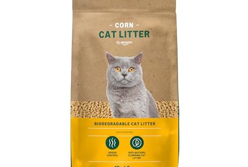 Avis by Amazon Litière pour Chat : Test et Avis
