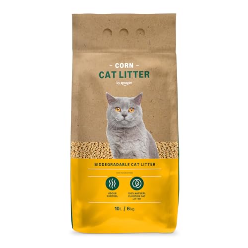 Avis by Amazon Litière pour Chat : Test et Avis