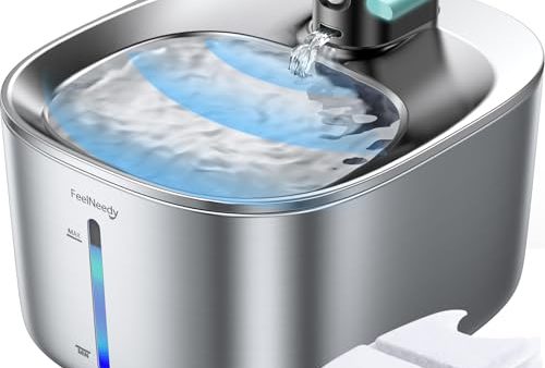 Avis Fontaine à Eau pour Chat: Test Complet et Utilisation