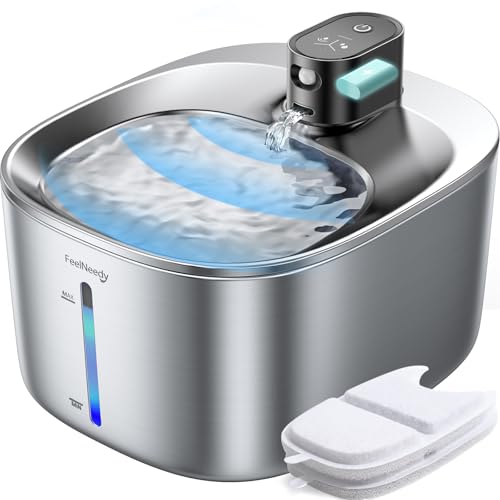 Avis Fontaine à Eau pour Chat: Test Complet et Utilisation