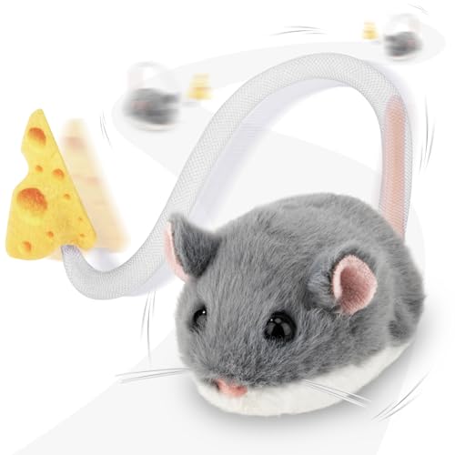Avis Migipaws Jouet interactif pour Chat : Test Complet