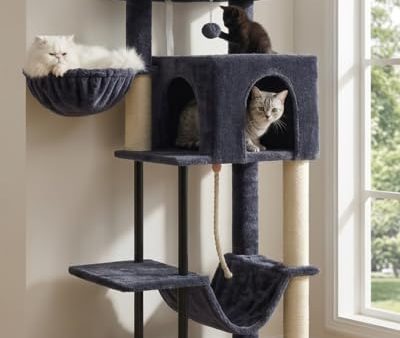 Avis Gitelsnour Arbre à Chat : Tour de jeu robuste