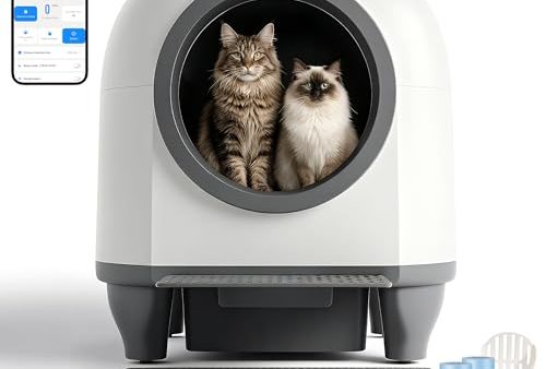 Avis Devoko Litiere Chat Autonettoyante : Test Complet