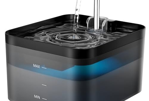 Avis PawPoll Fontaine a Eau Chat : Test et Analyse