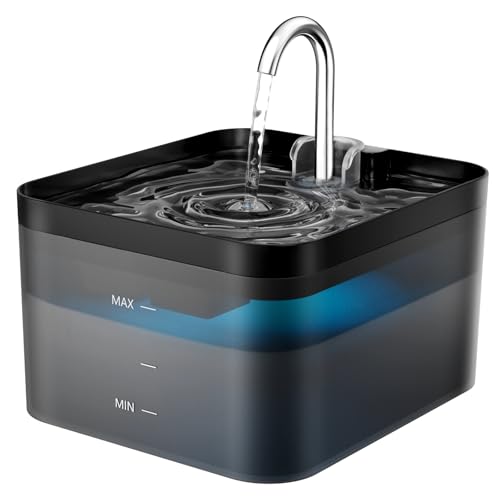 Avis PawPoll Fontaine a Eau Chat : Test et Analyse