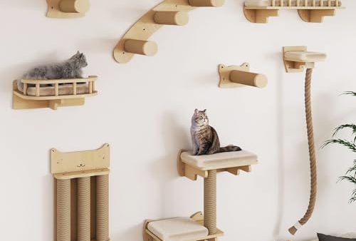 Avis BYBYME Ensemble Mural d&rsquo;Escalade pour Chat