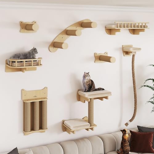 Avis BYBYME Ensemble Mural d&rsquo;Escalade pour Chat