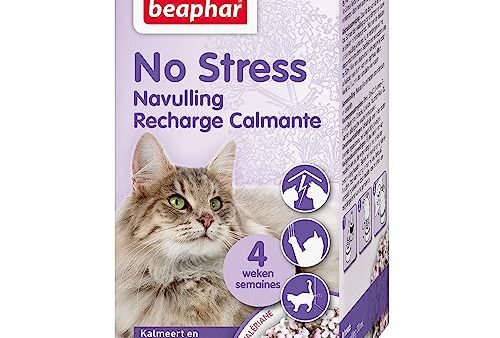 Avis Beaphar NO Stress : Un Calmant Naturel pour Chats