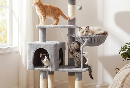 Avis Hey-brother Arbre à Chat : Un Choix Idéal
