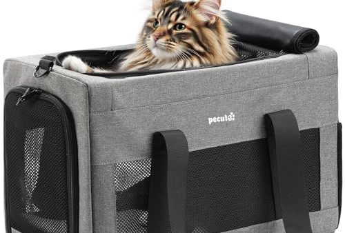 Avis Pecute Sac de Transport pour Chat XL : Test Complet