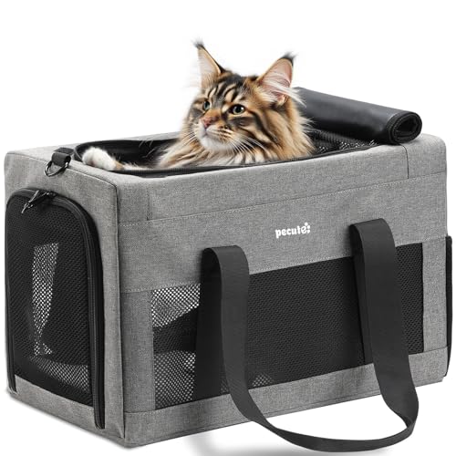 Avis Pecute Sac de Transport pour Chat XL : Test Complet
